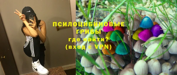 PSILOCYBIN Богородицк